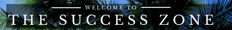 The Success Zone
