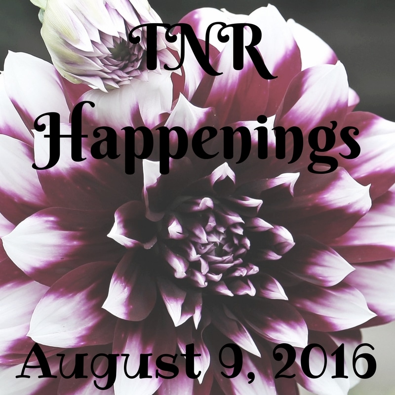 TNR Happenings