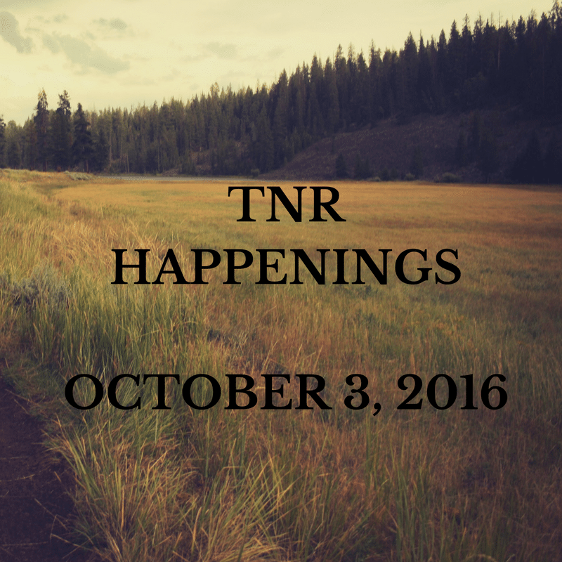 TNR Happenings