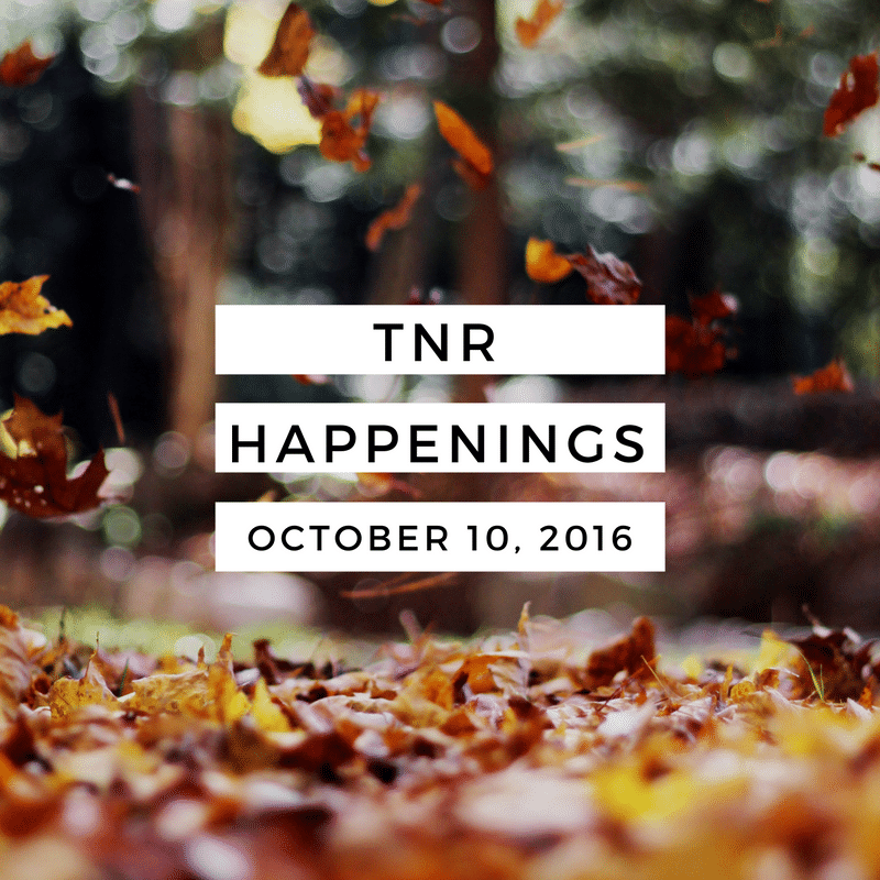 TNR Happenings