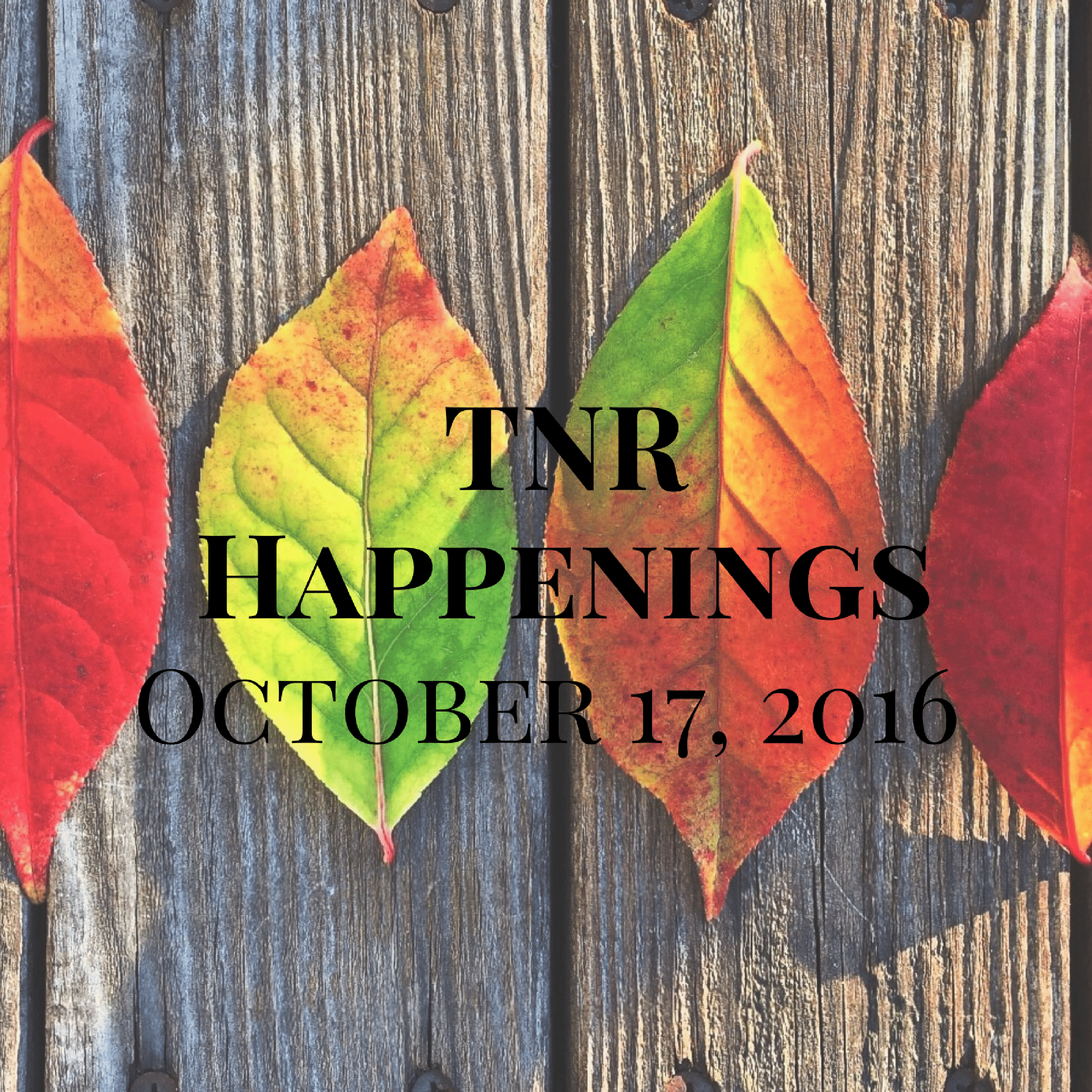 TNR Happenings