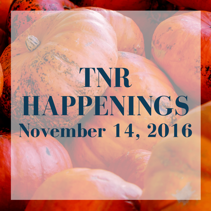 TNR Happenings