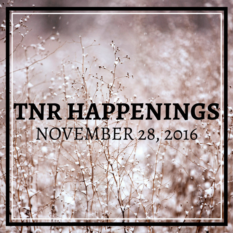 TNR Happenings
