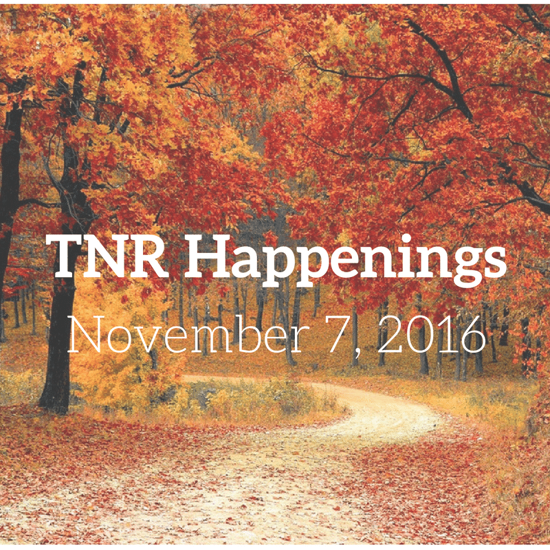 TNR Happenings