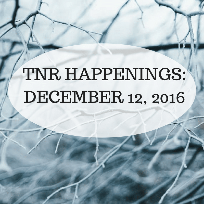 TNR Happenings