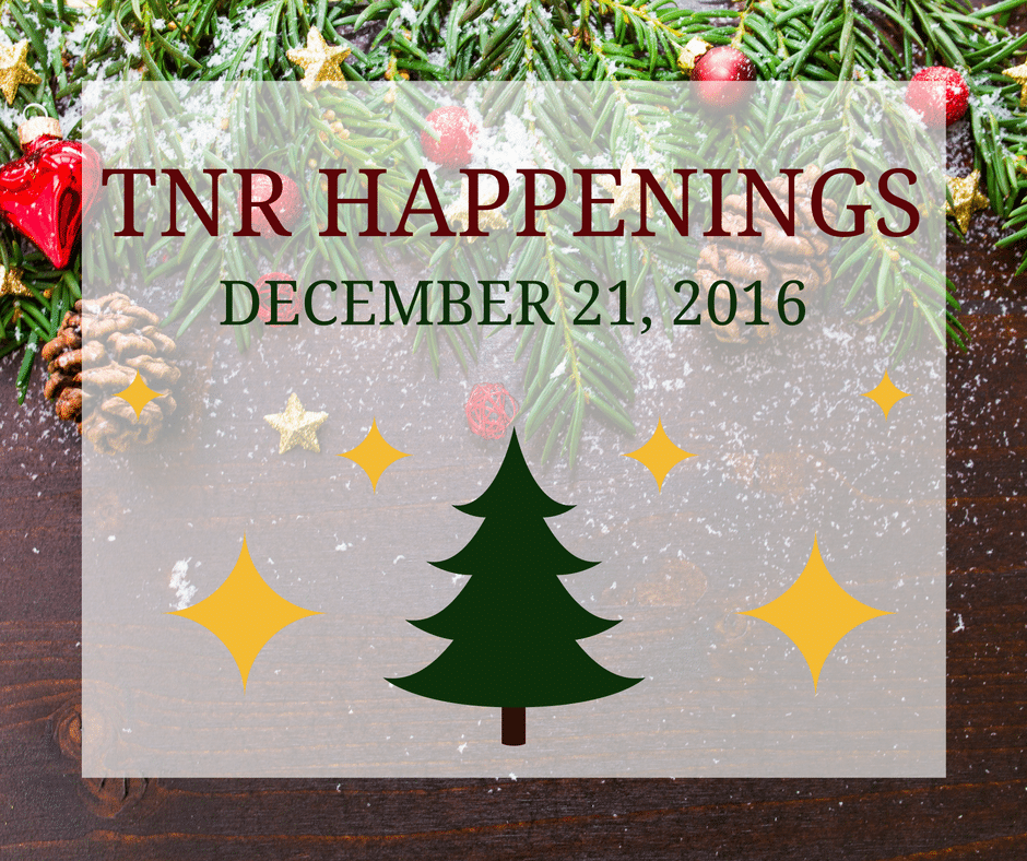 TNR Happenings