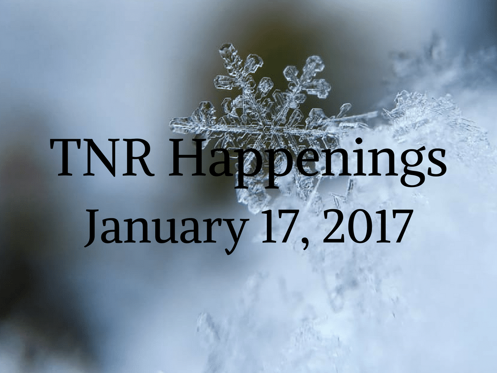 TNR Happenings