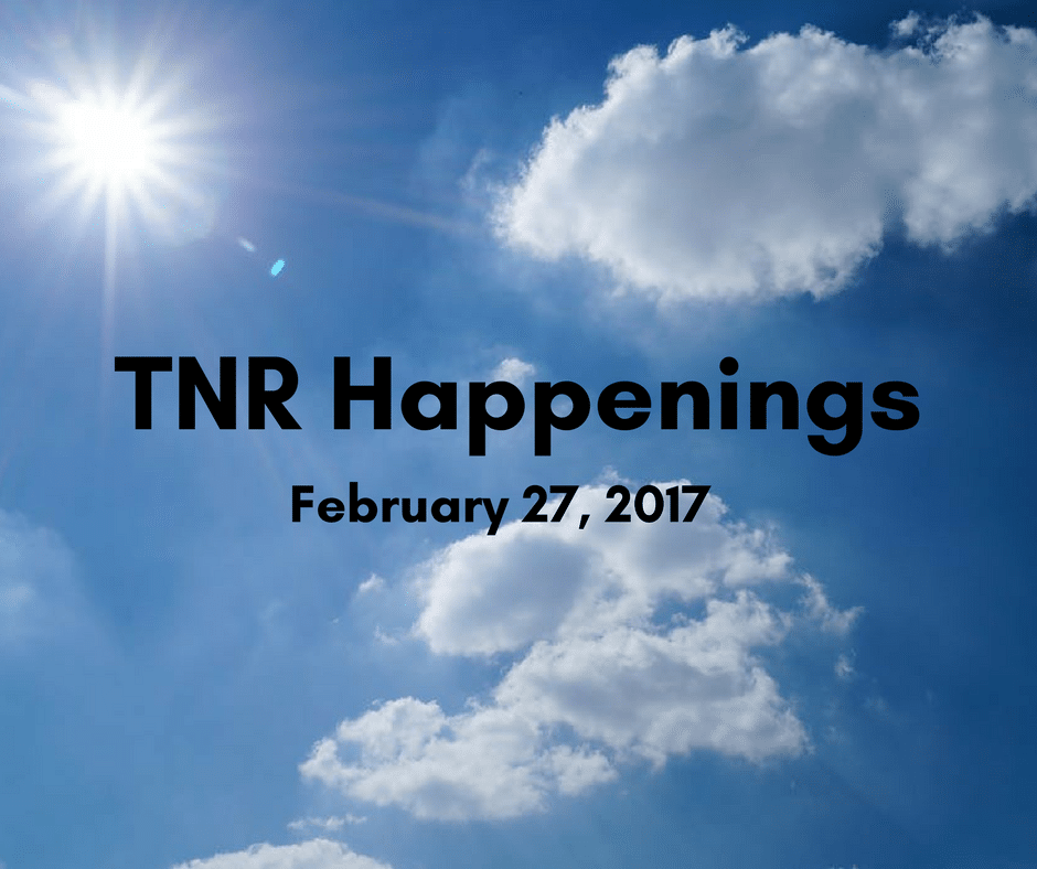 tnr happenings