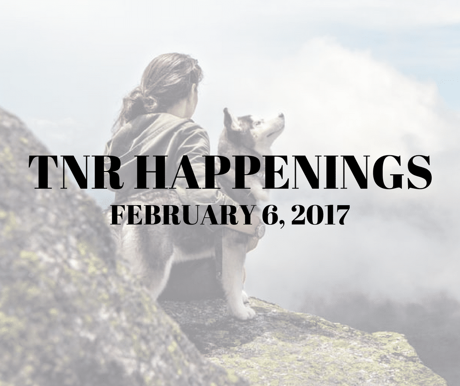 TNR Happenings