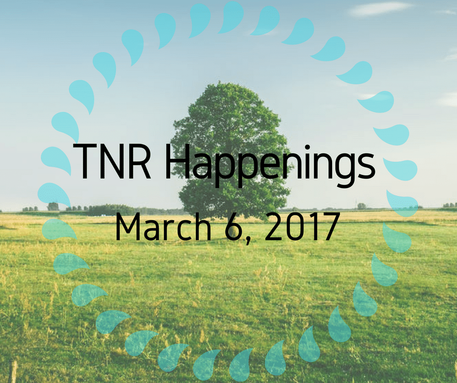 TNR Happenings