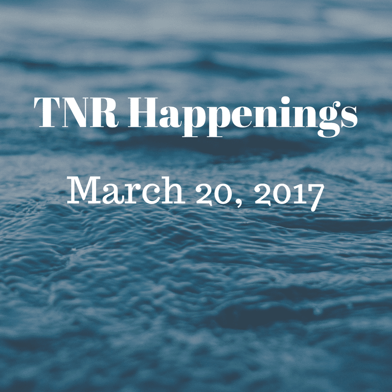 TNR Happenings March 20