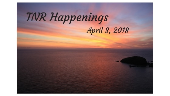 TNR Happenings April 3 (1)