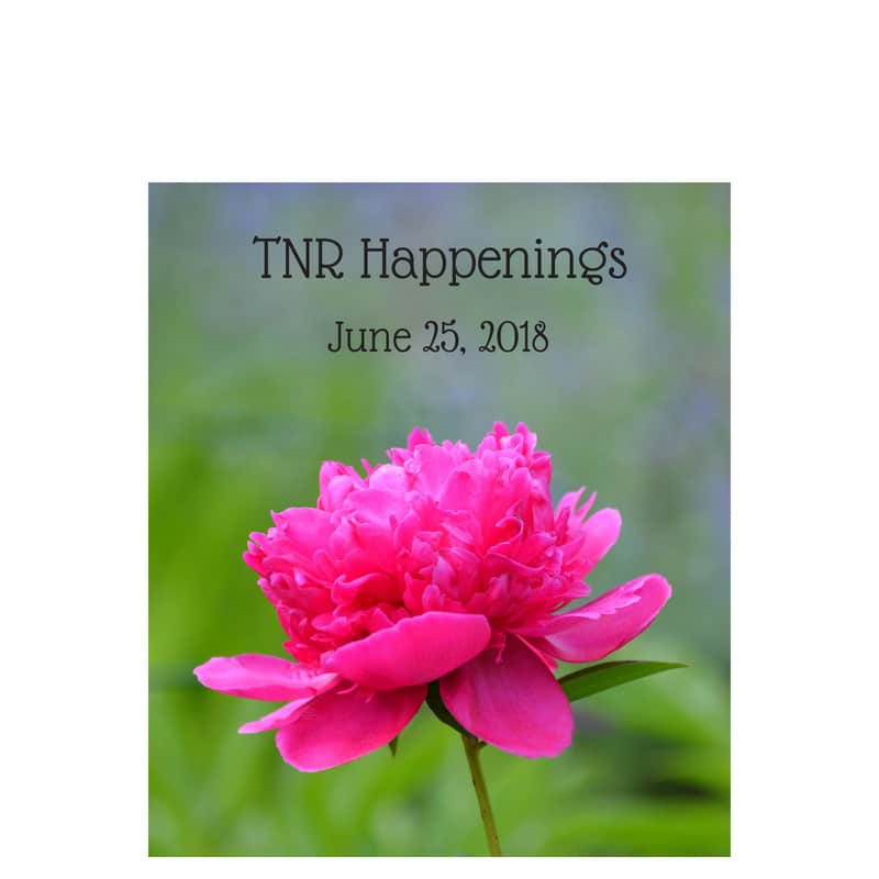 TNR Happenings June 25