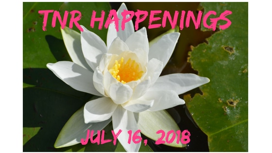 TNR Happenings July 16