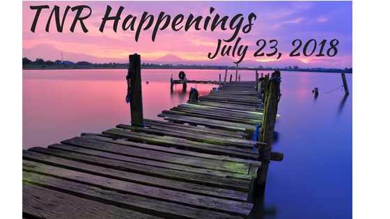 TNR Happenings July 23
