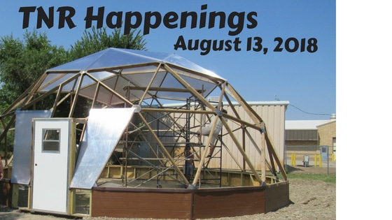 TNR Happenings