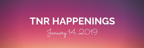 TNR Happenings