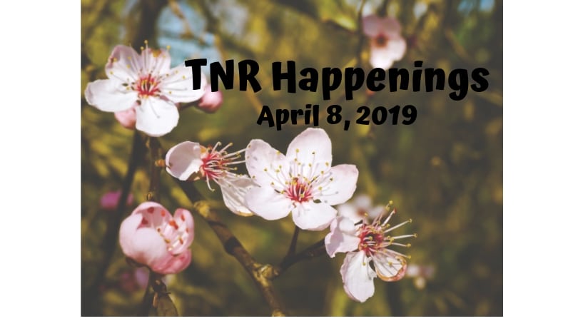 TNR Happenings April 8 TNR Happenings April 8