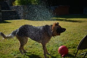 DSC_0048 DSC_0048