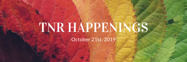 oct 21 oct 21
