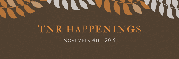 nov 4th nov 4th