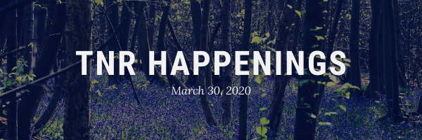 TNR Happenings March 30 TNR Happenings March 30