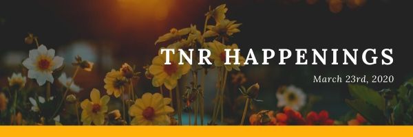 tnr happs (3)