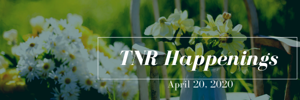 TNR Happenings TNR Happenings