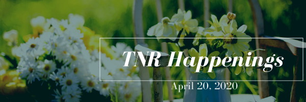 TNR Happenings