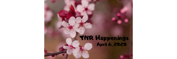 TNR Happenings