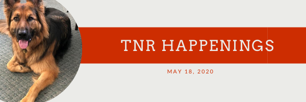 tnr happenings