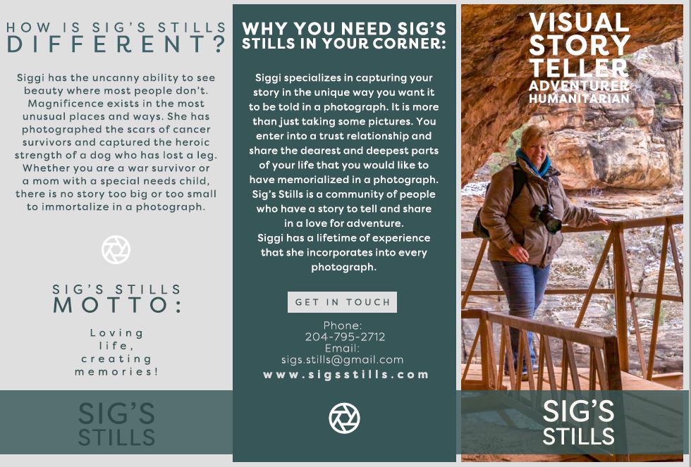 Siggi's Brochure 1