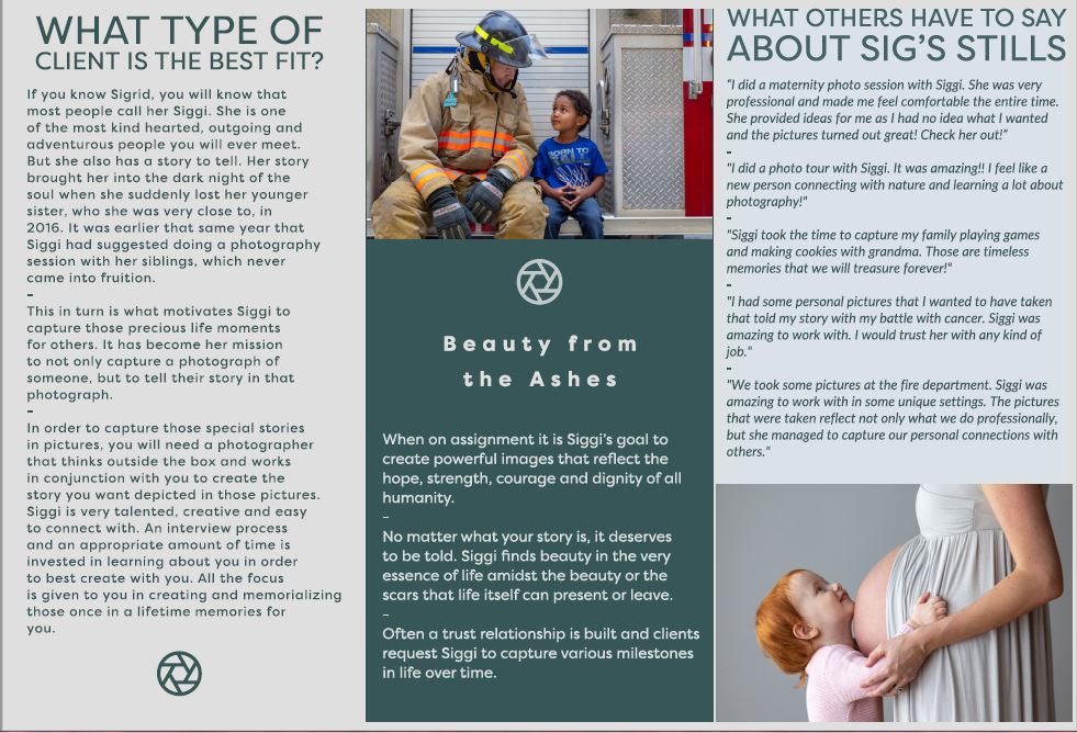 Siggi's Brochure 2