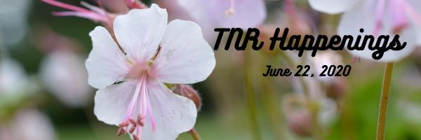 TNR Happenings 6.22 TNR Happenings 6.22