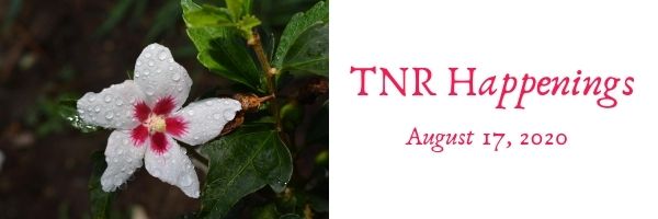 TNR Happenings TNR Happenings