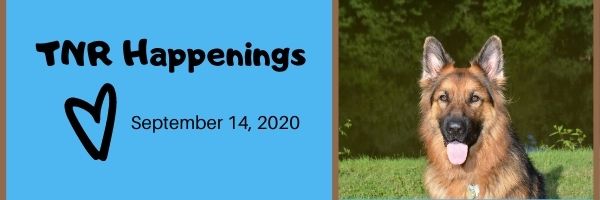 TNR Happenings 9.14 TNR Happenings 9.14