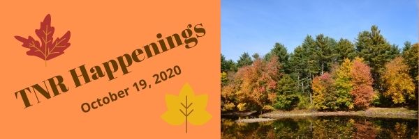 TNR Happenings 10.19 TNR Happenings 10.19