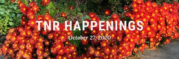TNR Happenings 10.27 TNR Happenings 10.27