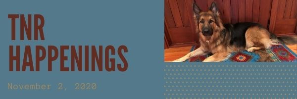 TNR Happenings 11.2 TNR Happenings 11.2