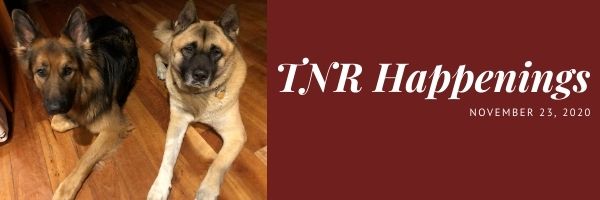 TNR Happenings 11.23 TNR Happenings 11.23