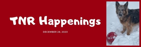 TNR Happenings 12.28 TNR Happenings 12.28