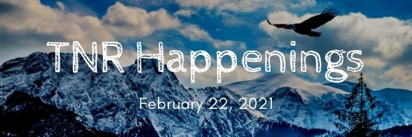 TNR Happenings TNR Happenings