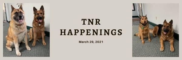 TNR Happenings 3.29.21 TNR Happenings 3.29.21