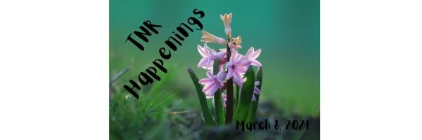 TNR Happenings 3.8 TNR Happenings 3.8