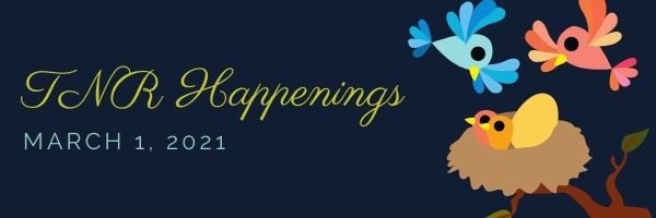 TNR Happenings TNR Happenings
