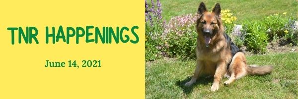 TNR HAPPENINGS 6.14 TNR HAPPENINGS 6.14