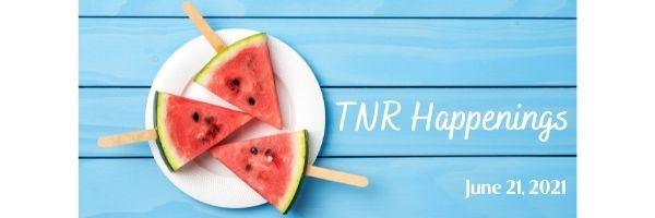 TNR Happenings 6.21 TNR Happenings 6.21