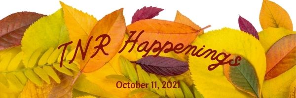 TNR Happenings 10.11 TNR Happenings 10.11