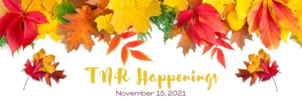 TNR Happenings 11.15 TNR Happenings 11.15