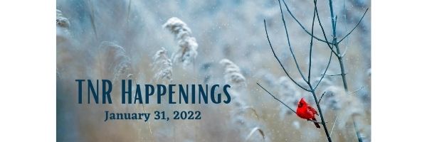 TNR Happenings 1.31 TNR Happenings 1.31